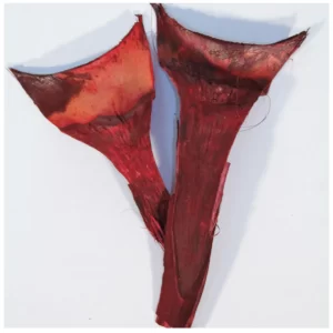 Agava special rdeče barve, sušena in barvana na beli podagi.