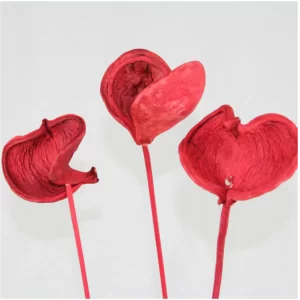 Barvan badam na palici v rdeči barvi.