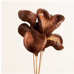 Lakiran badam na palici v naravni barvi.