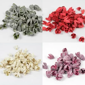 Cvetovi Bakuli v štirih barvah na svetlem ozadju