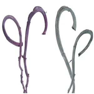 Dekorativni banana ud v frosted barvi.