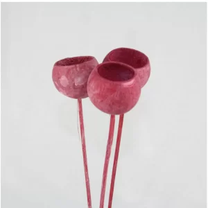 Bell cup na palici barvan frosted.