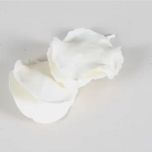 Belkasti lističi Jacaranda na sivem ozadju