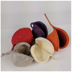 Buda oreh barvan različnih barv,