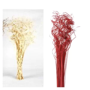 Curly ting ting palm open