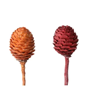 Dve decorum suhi veji v oranžni frosted in rdeči frosted barvi na belem ozadju.