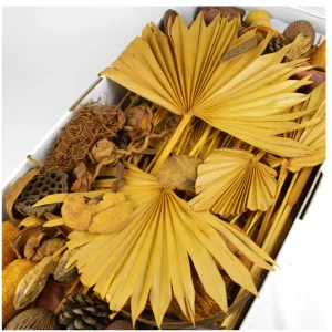 Mix eksotičnega suhega cvetja, vej in plodov rumene barve v beli škatli.