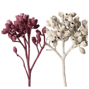 Azalea frosted in bela barva suhe veje eukaliptus clusters na beli podlagi.