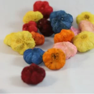 Mešanica plodov Goran v barvah roza, bordo, oranžna, rumena in modra na belem ozadju