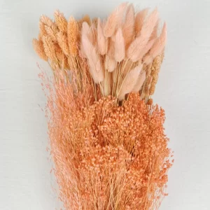 Suha trava v oranžni barvi, na svetlem ozadju