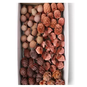 Leucodendron na žici altrosa barve v beli šlatli.