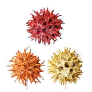 Liquidamber na žici v treh barvah (red frosted + orange frosted + yellow frosted) na beli podlagi.