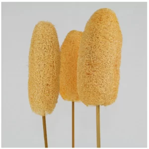 Beljena in barvana dekorativna lufa na leseni palici.