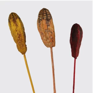 Mehogni v različnih barvah na palici.