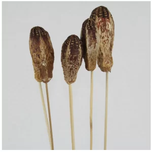 Mehogni v naravni barvi na palici.