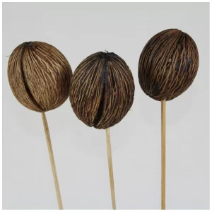 Dekorativna minolta v natur barvi na leseni palici.