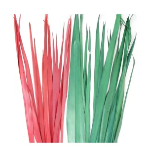 Palma prameni barvani