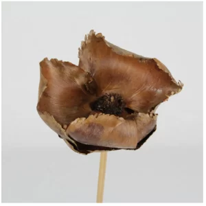 Palmina čaša v natur barvi na palici.