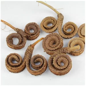 Palmmale special natur lakiran.