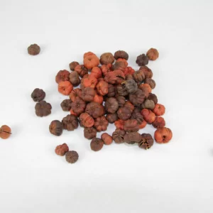 Plodovi Putka na sivem ozadju