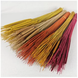 Rogoz v različnih barvah, sušen, na nevtralni podlagi.