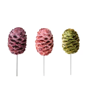 Sabulosum sušeni na žici v treh barvah na beli podlagi.