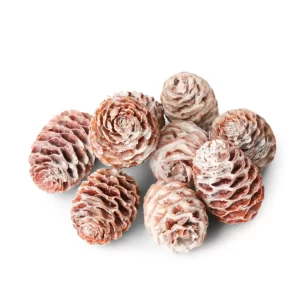 Belkasti plodovi Sabulosum na belem ozadju