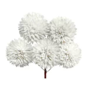 Sola zenia sestavljene rožice