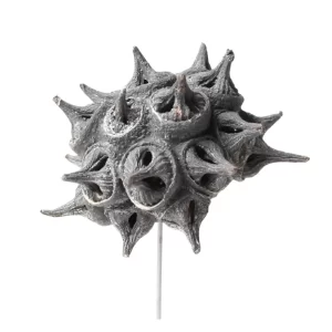 Spidergum knobs na žici sive frosted barve na beli podlagi.