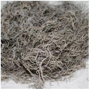 Naravna suha Tilandsija na svetlem ozadju