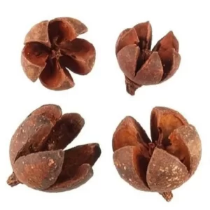 Naravni plodovi Wallachi na belem ozadju