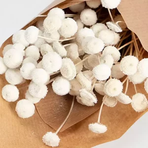 Beli cvetovi botao branco v rjavi papirnati vrečki